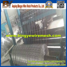 Best Price Woven Galvanized Grassland Fence for Australia